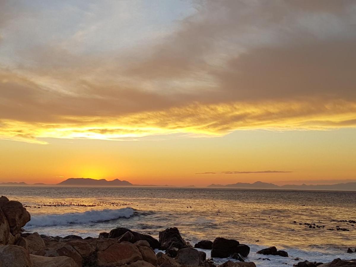 Kleinblom In Pringle Lejlighed Pringle Bay Eksteriør billede