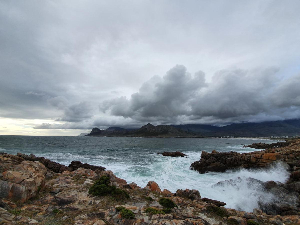 Kleinblom In Pringle Lejlighed Pringle Bay Eksteriør billede