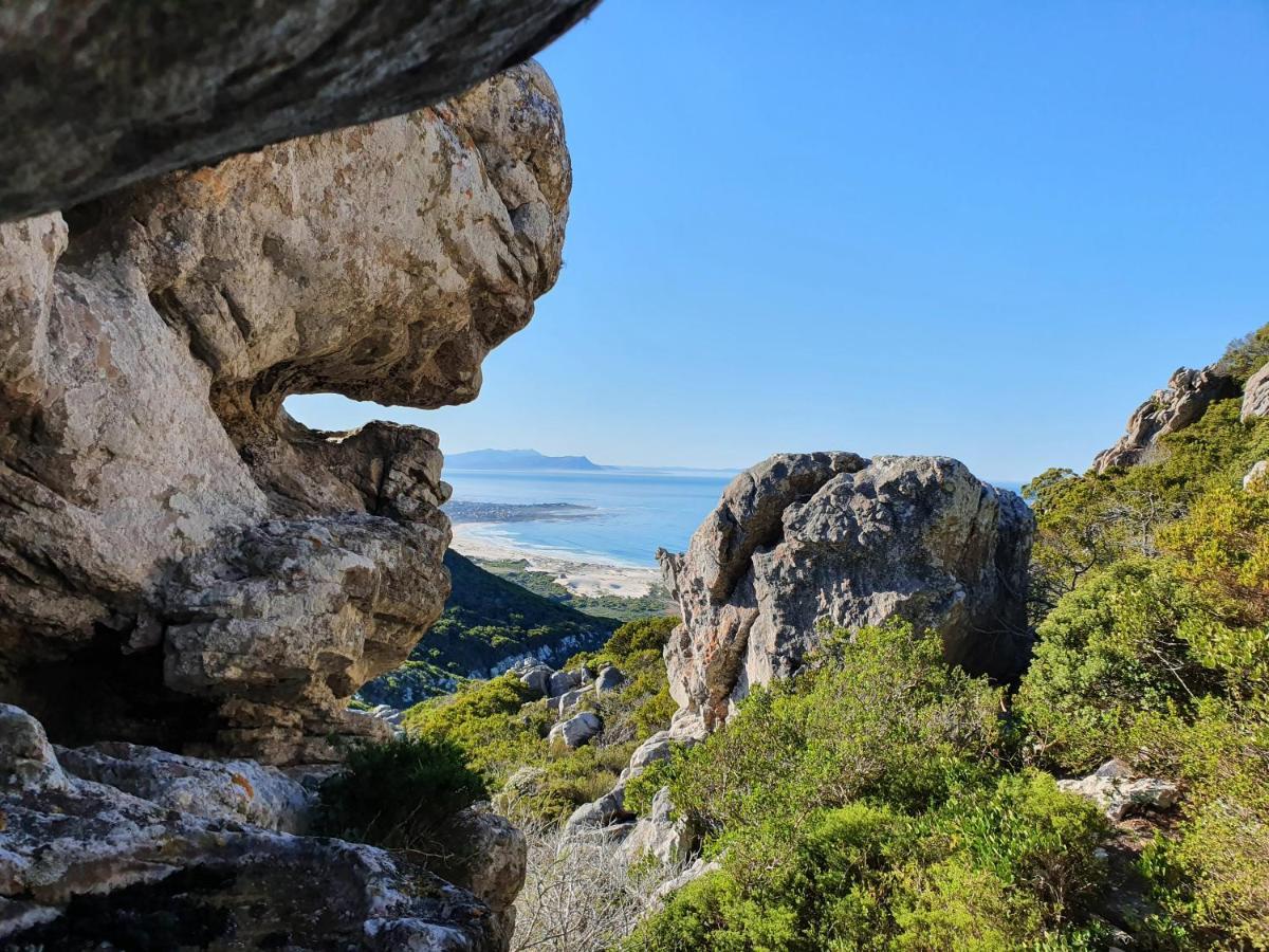Kleinblom In Pringle Lejlighed Pringle Bay Eksteriør billede