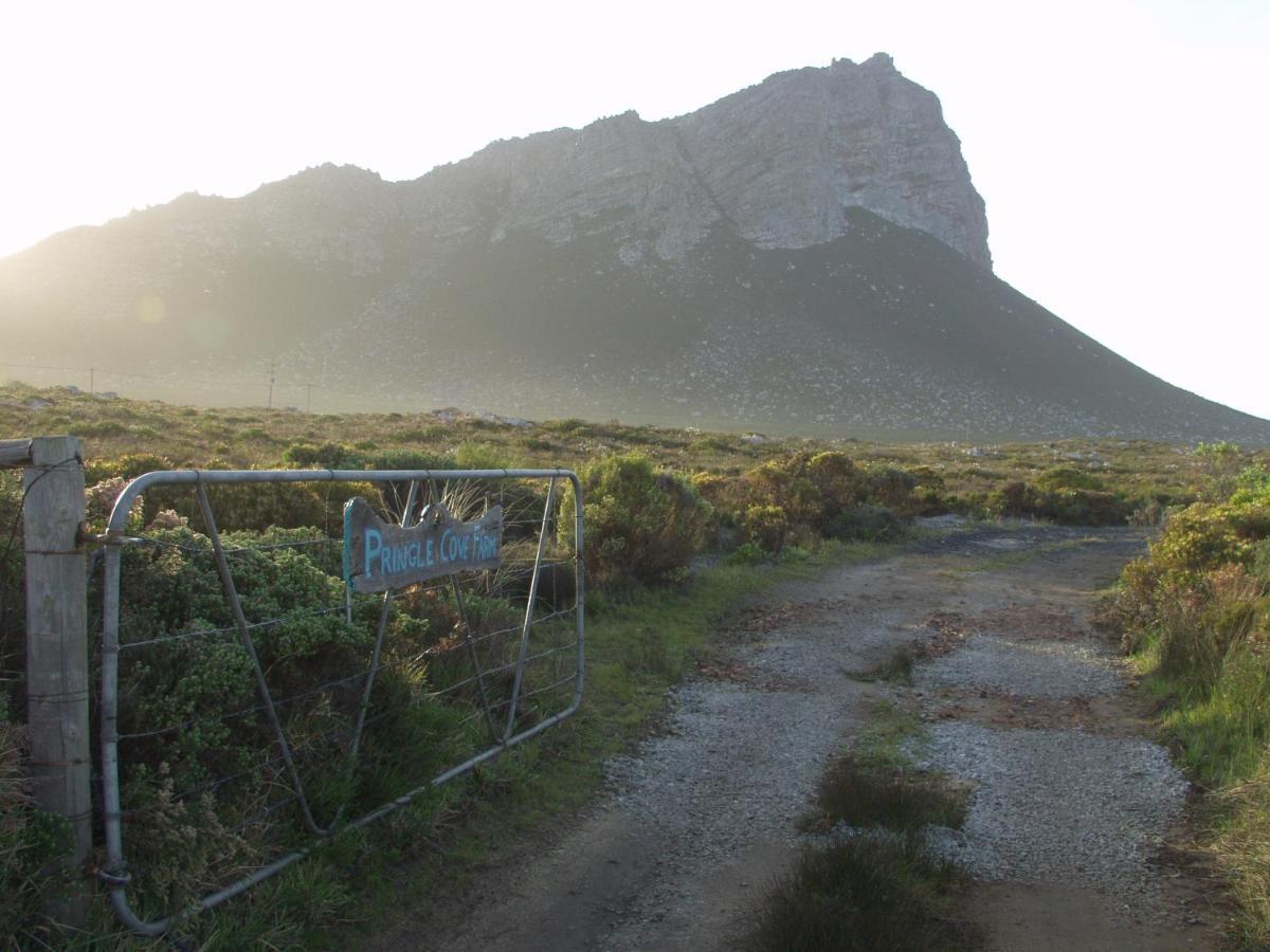 Kleinblom In Pringle Lejlighed Pringle Bay Eksteriør billede