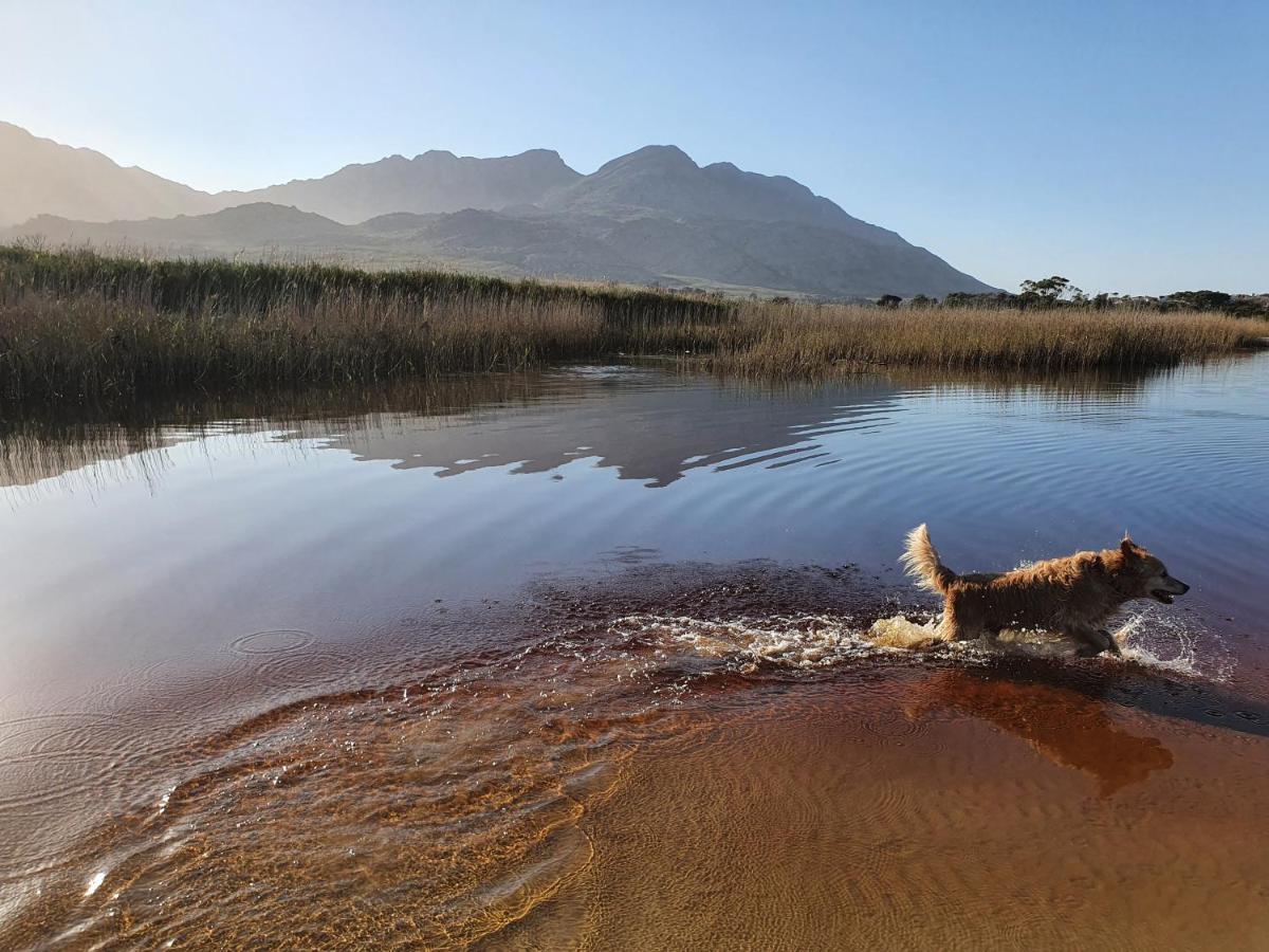 Kleinblom In Pringle Lejlighed Pringle Bay Eksteriør billede