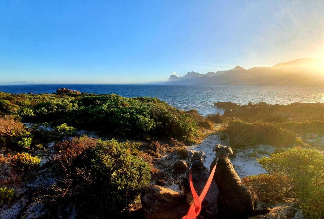 Kleinblom In Pringle Lejlighed Pringle Bay Eksteriør billede